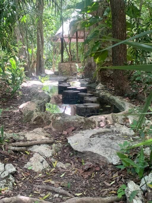Natural landscape