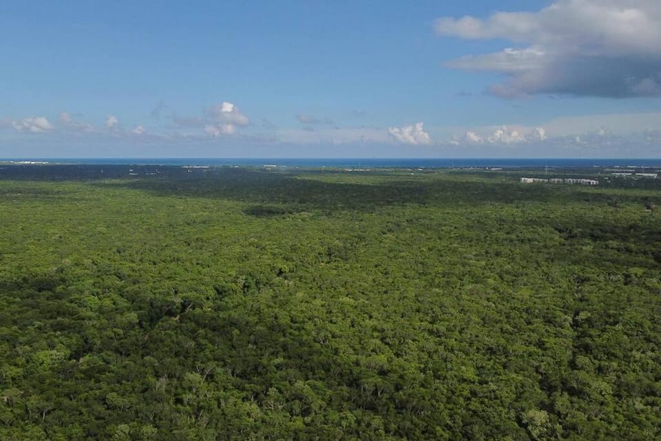 Casa de la Selva-Jungle Getaway with cenotes House in Playa del Carmen