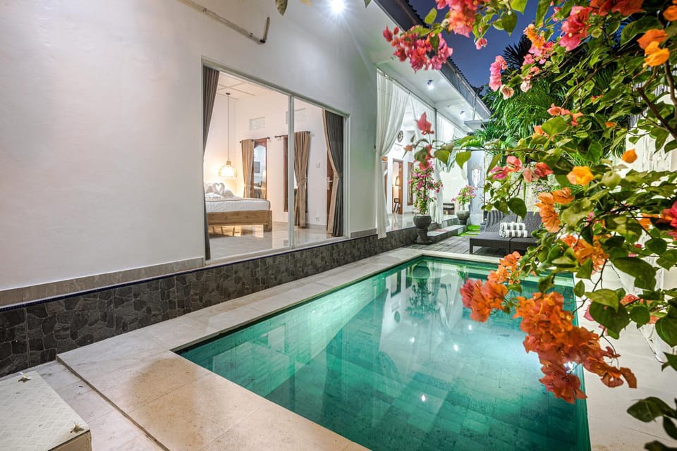 Garden, Swimming pool