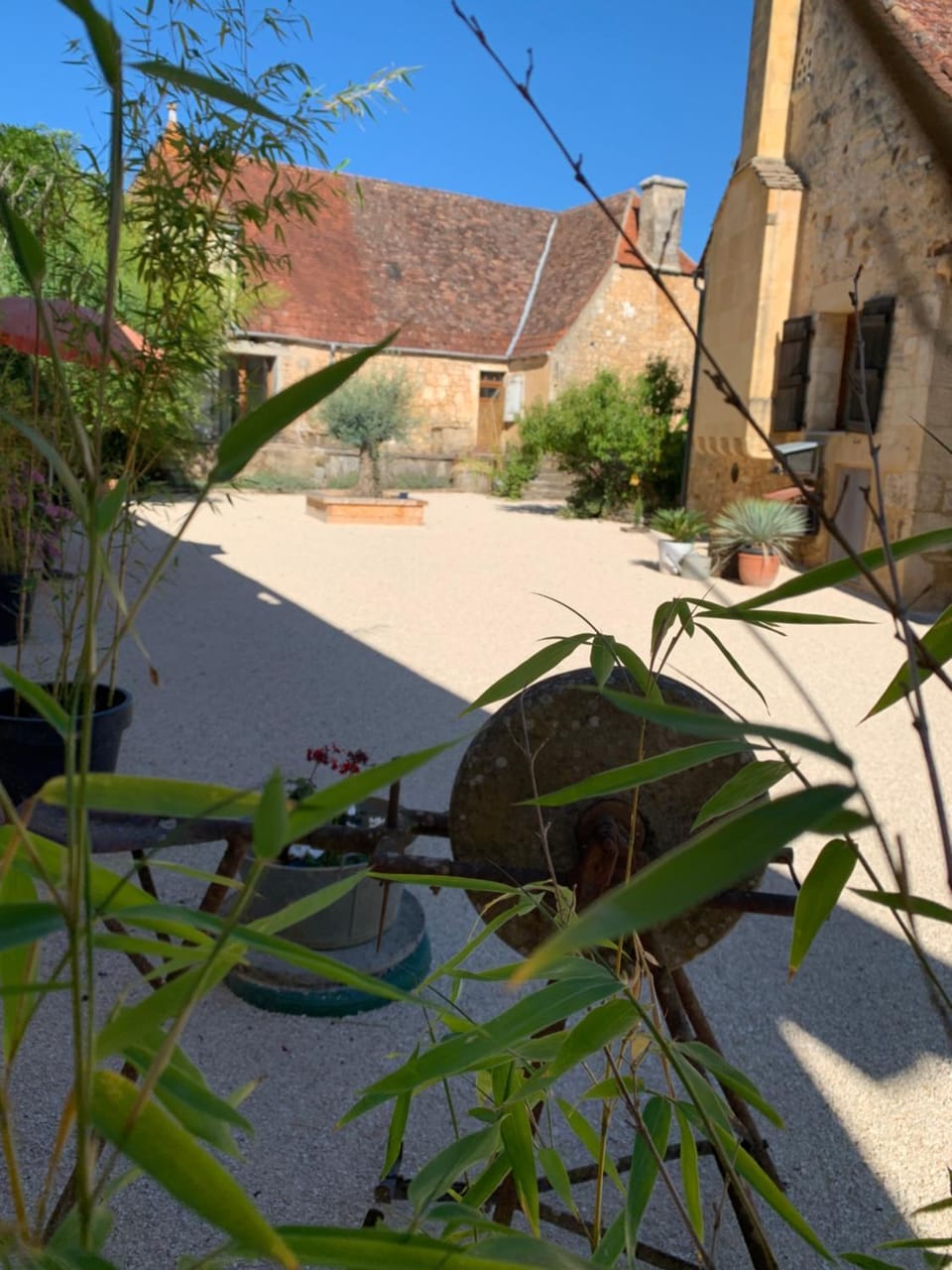 La Ferme de Maraval Bed and Breakfast in Occitanie