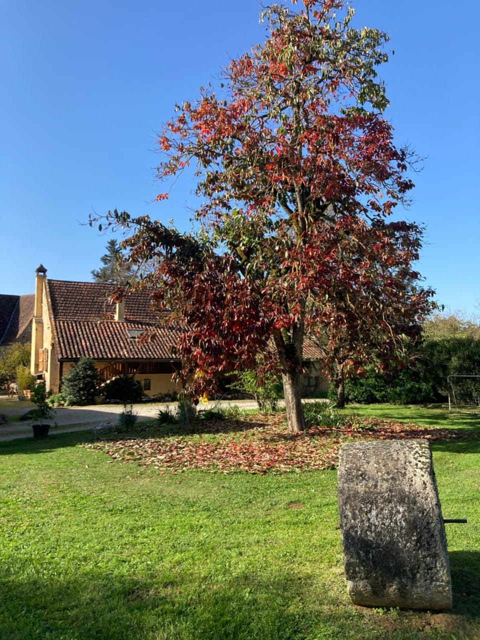 La Ferme de Maraval Bed and Breakfast in Occitanie