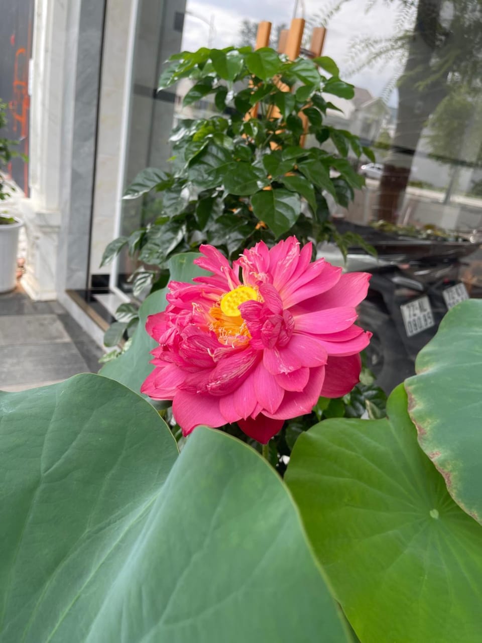 Queen Sea Hotel Hotel in Phan Thiet
