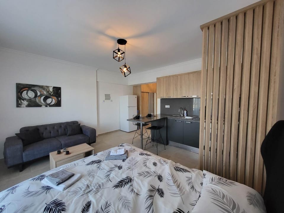 Bed, Kitchen or kitchenette, Living room, Photo of the whole room, Seating area, Bedroom, minibar, pet friendly