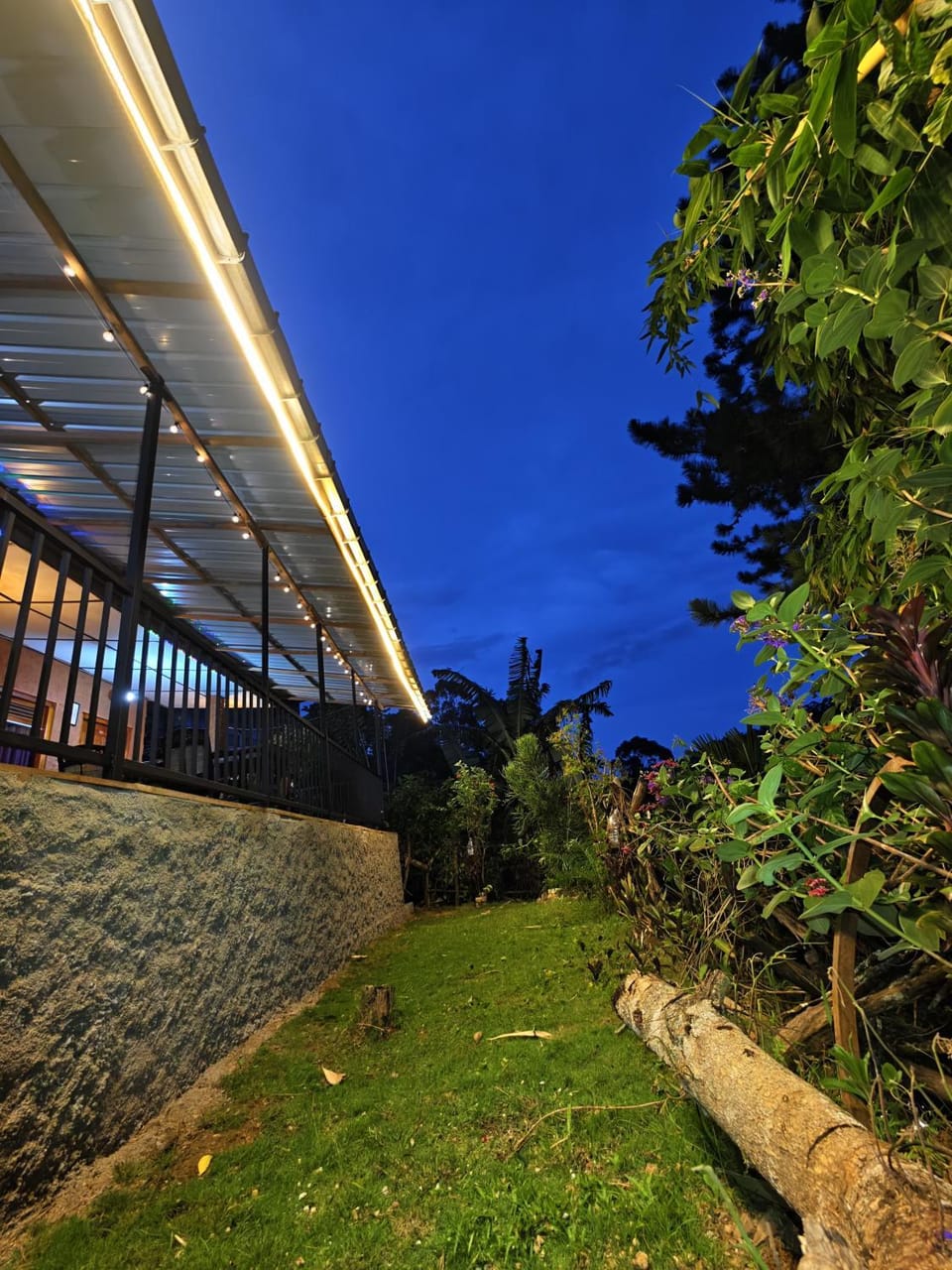 Property building, Garden view