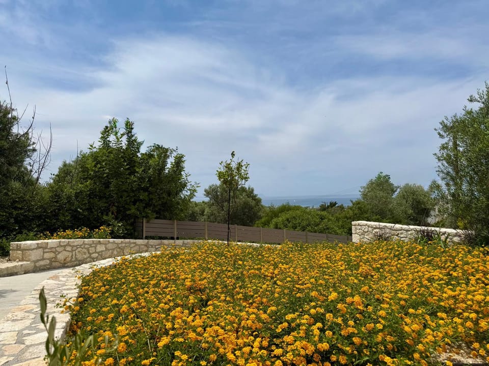 LILY'S VILLA LEMONIA Villa in Rethymno