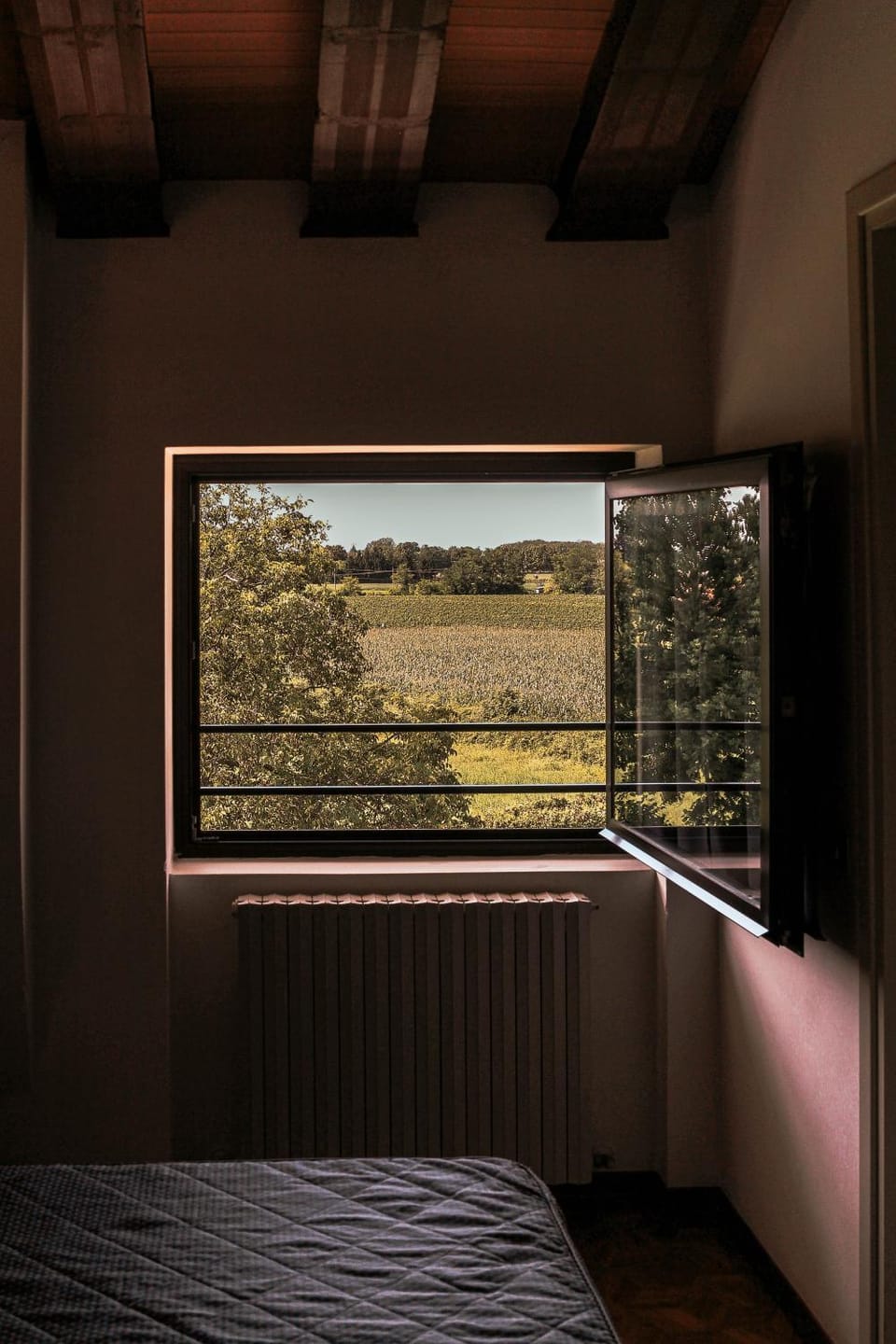 Bed, Natural landscape, Photo of the whole room, Bedroom