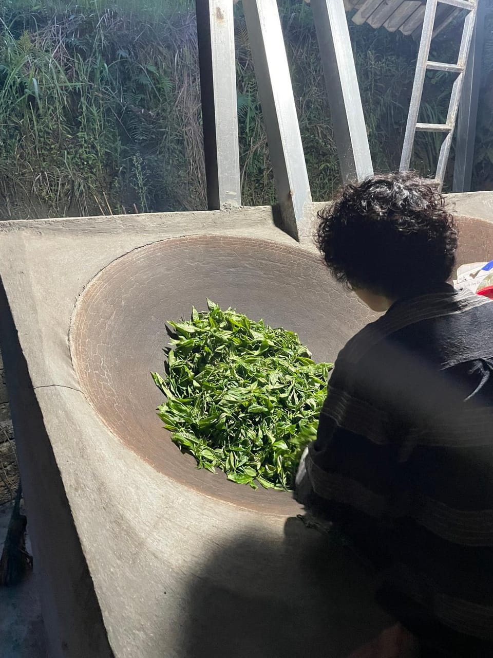 Bikki's jungle homestay Country House in Vietnam