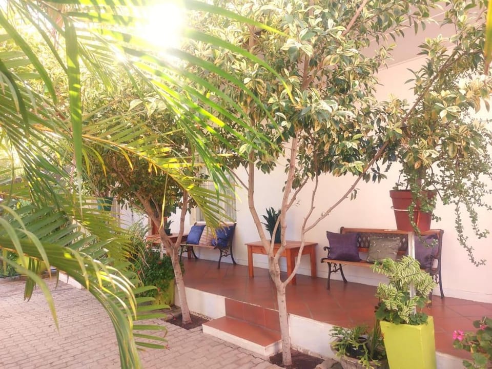 Garden, Garden view
