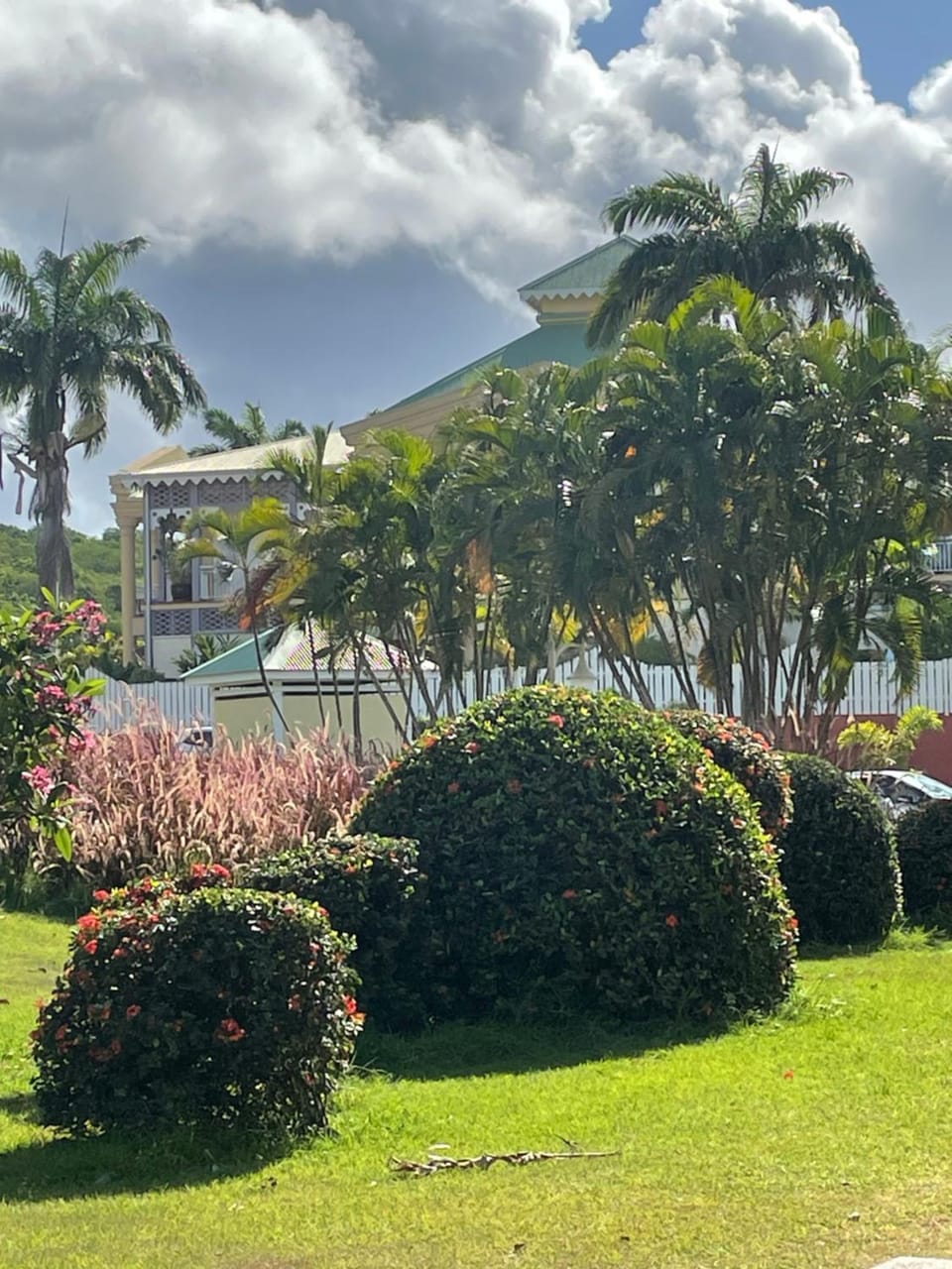Property building, Garden view