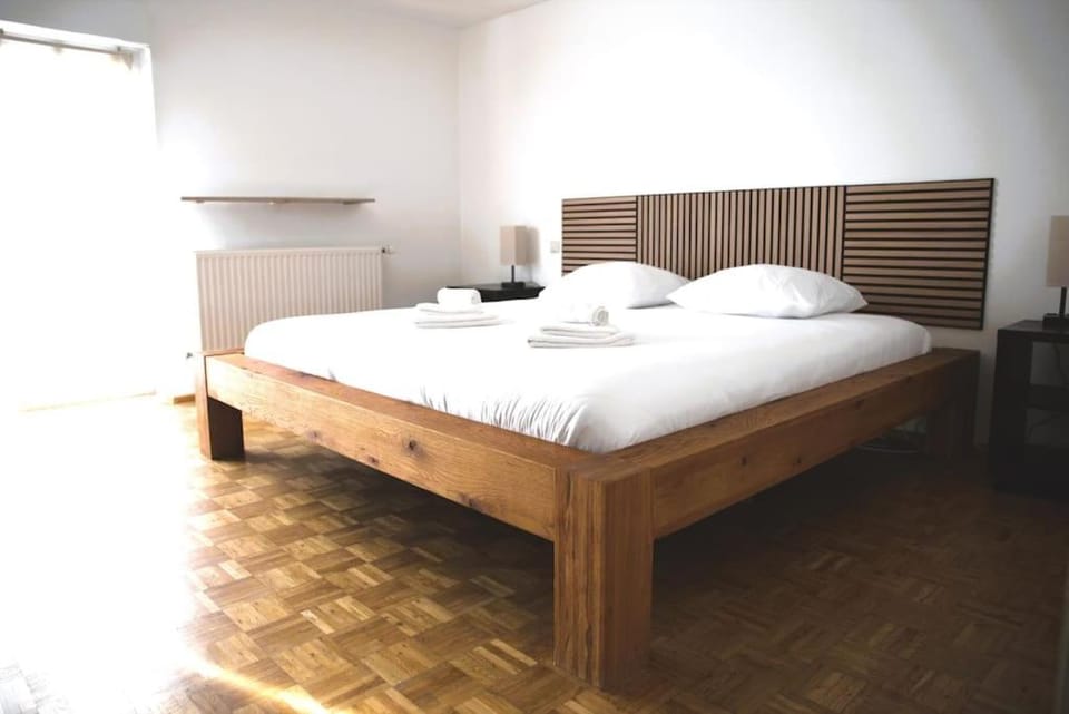 Cozy 3 bedroom house with 11 kw electric car charger Apartment in Luxembourg
