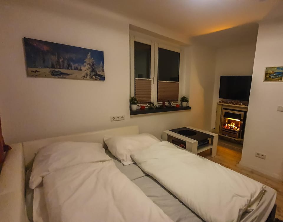 Communal lounge/ TV room, TV and multimedia, Photo of the whole room, Bedroom