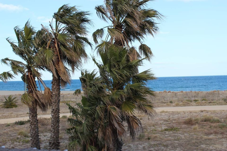 Sea view