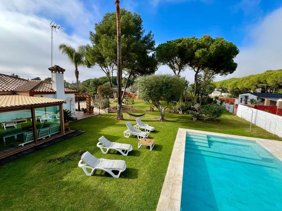Garden, Swimming pool, sunbed