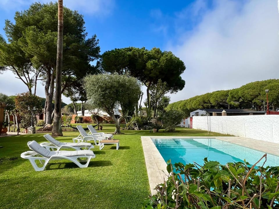 Garden, Swimming pool, sunbed