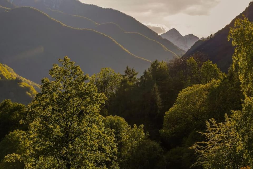 Wild Valley Puro Ticino 2 in Valle Onsernone Apartment in Canton of Ticino