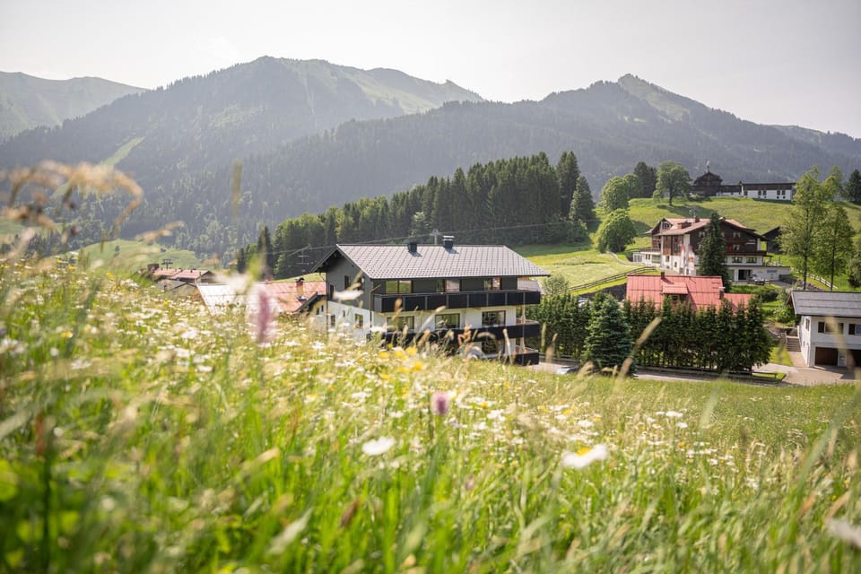 View (from property/room)