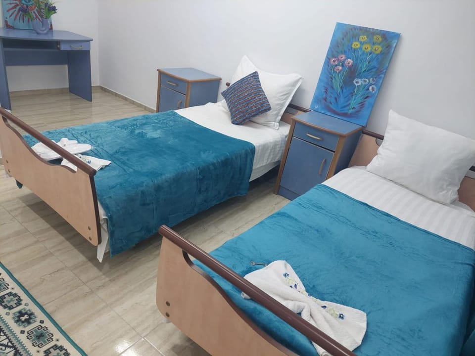 Casa Emilia Ana Maria Vacation rental in Timiș County