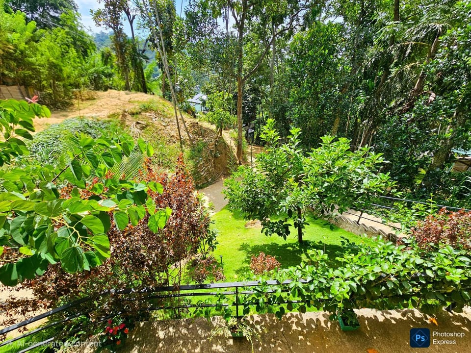 Day, Garden, Garden view, Mountain view