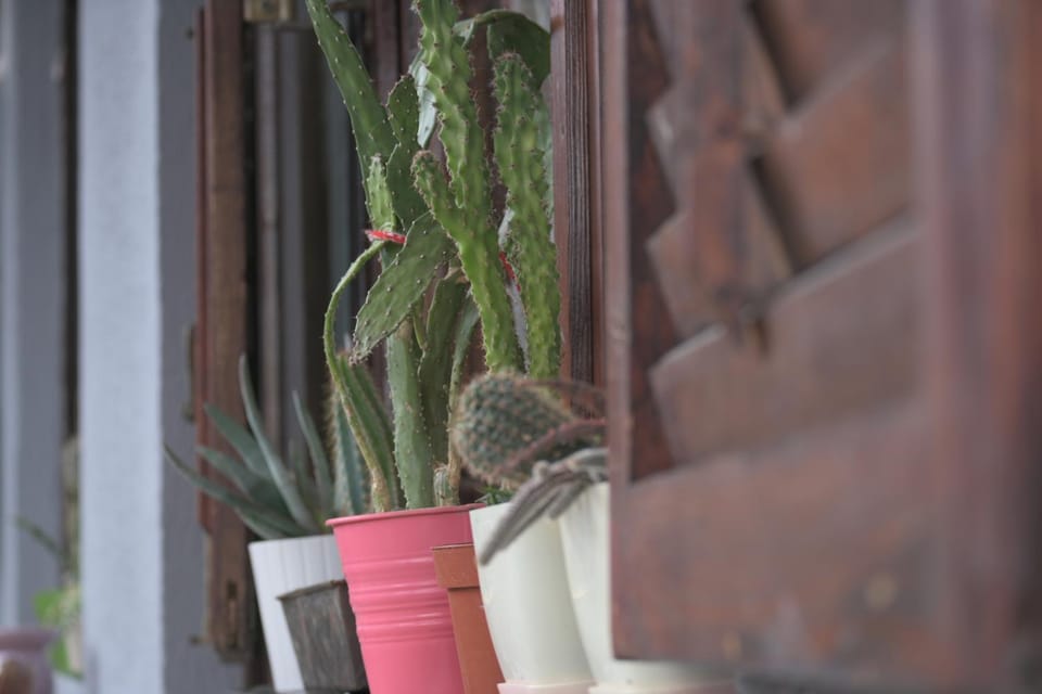 Decorative detail, Decorative detail