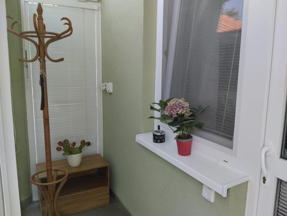 Apartmány Pálava Novosedly Apartment in South Moravian Region