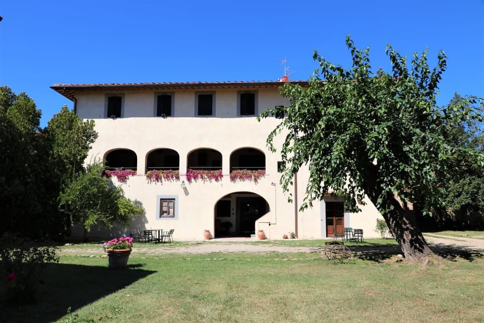 Property building, Garden