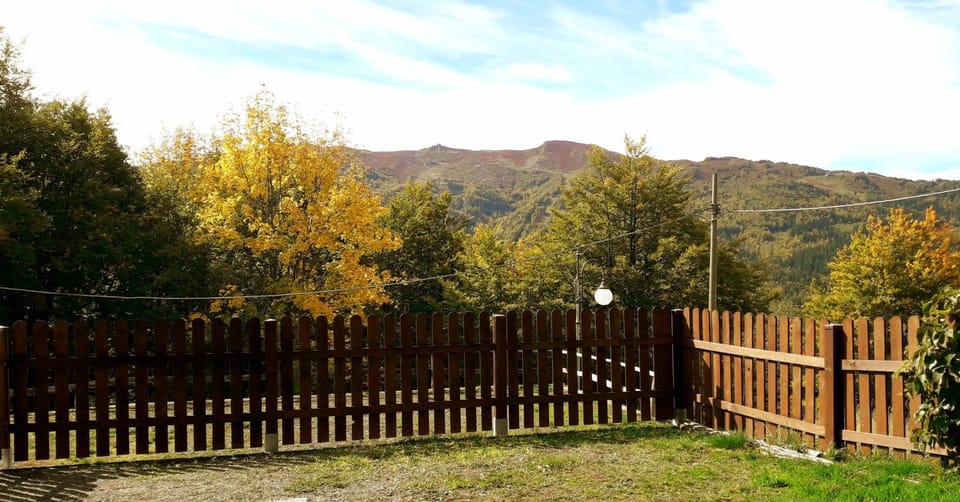 Garden, Garden, Autumn, Mountain view, pet friendly