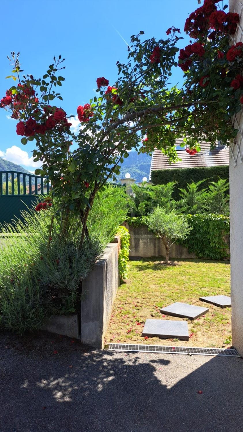 Inner courtyard view