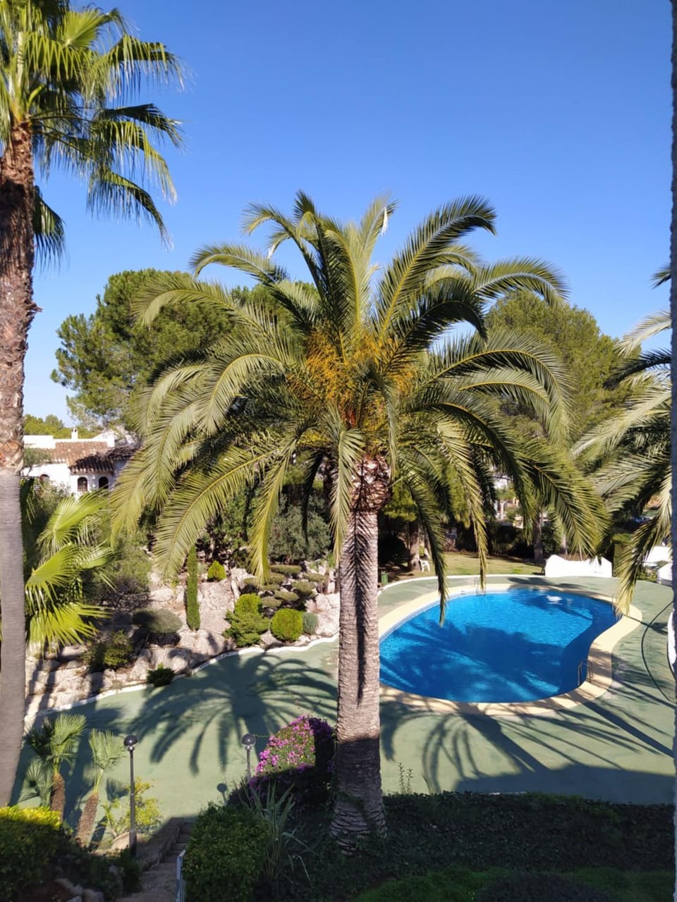 Pool view