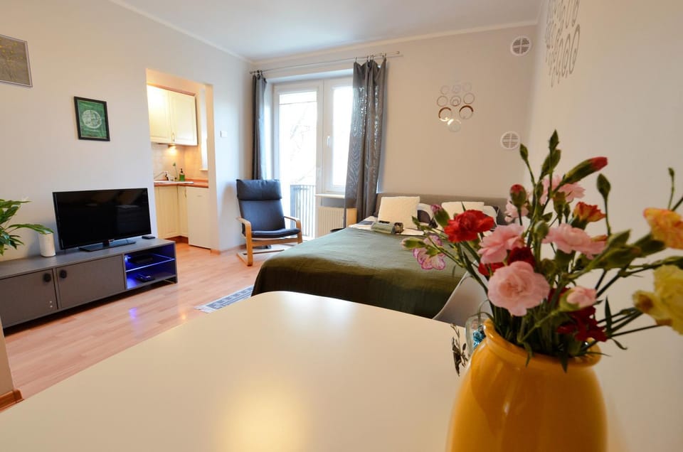 Apartment near Old Town Apartment in Gdansk