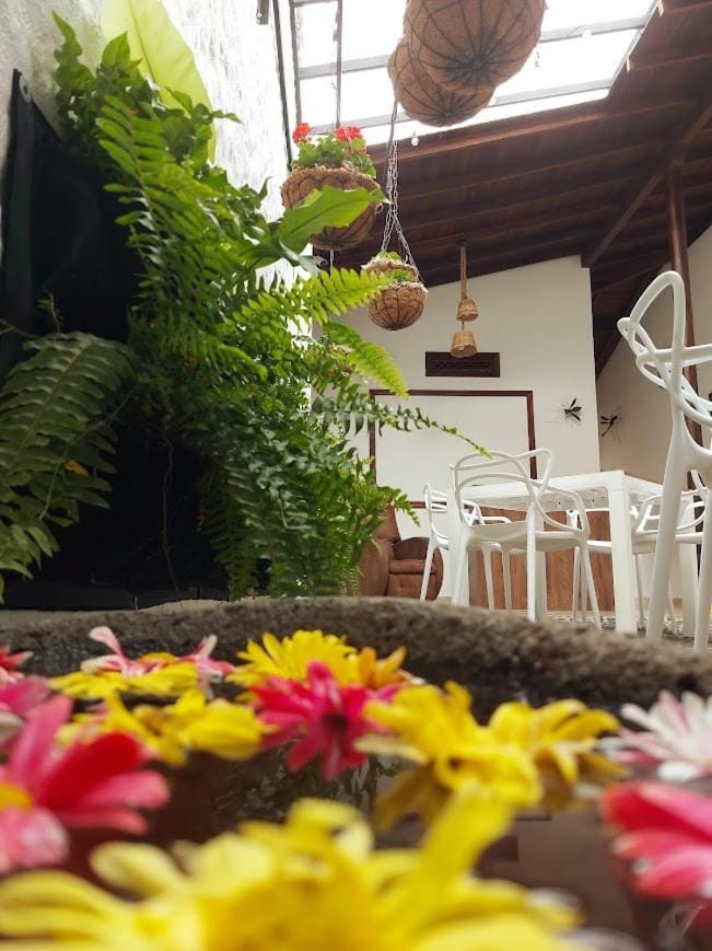 Patio, Garden