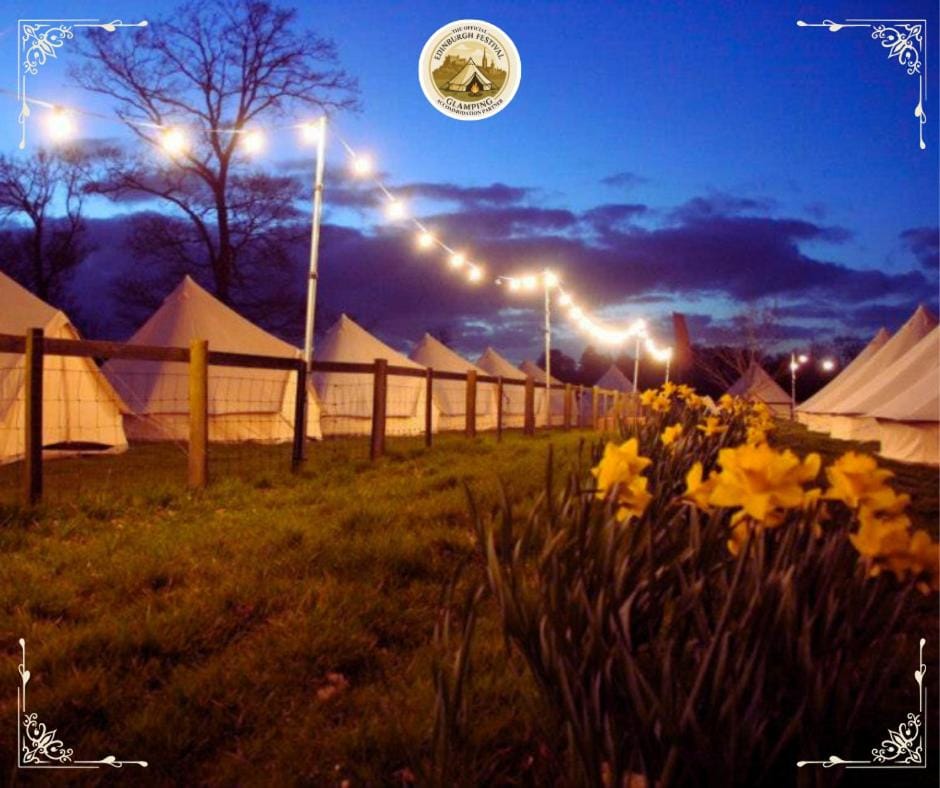 Night, Natural landscape, Garden, Garden view