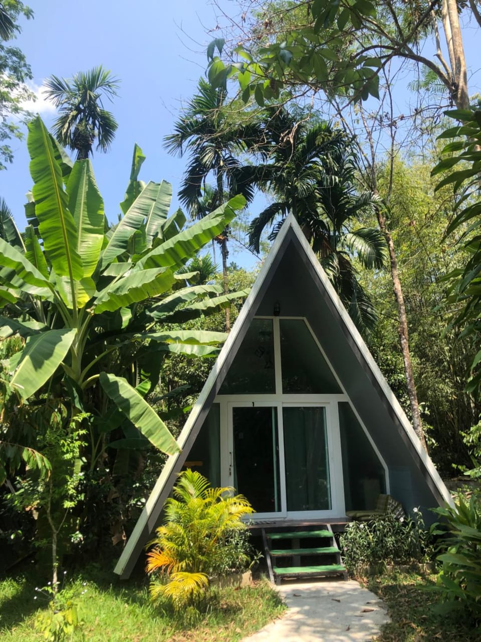 Ample Forest Khao Sok Farmstay House in Khlong Sok