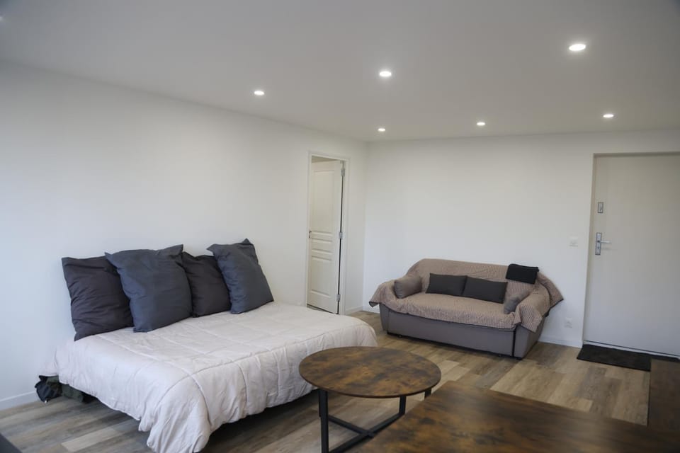 Magnifique T2/ 20 min de Paris Apartment in Île-de-France