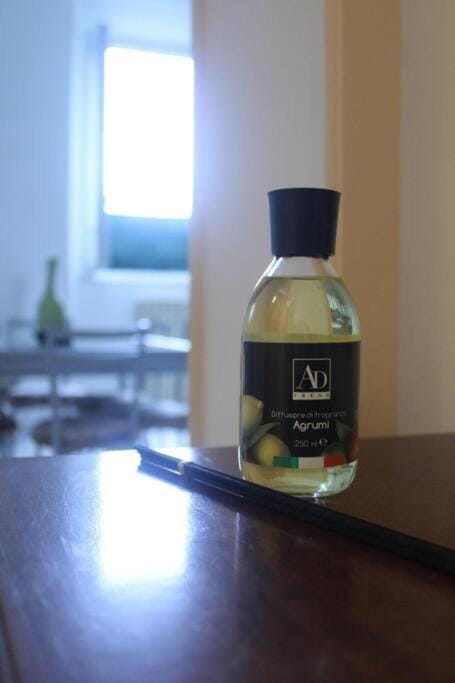 6th DOOR HOUSE Apartment in Pisa