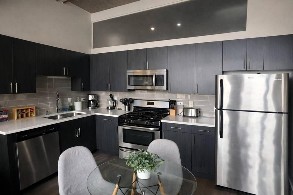 Spacious South Loop 2BR Apartment Near McCormick Place, Soldier Field & Downtown Chicago Apartment in South Loop