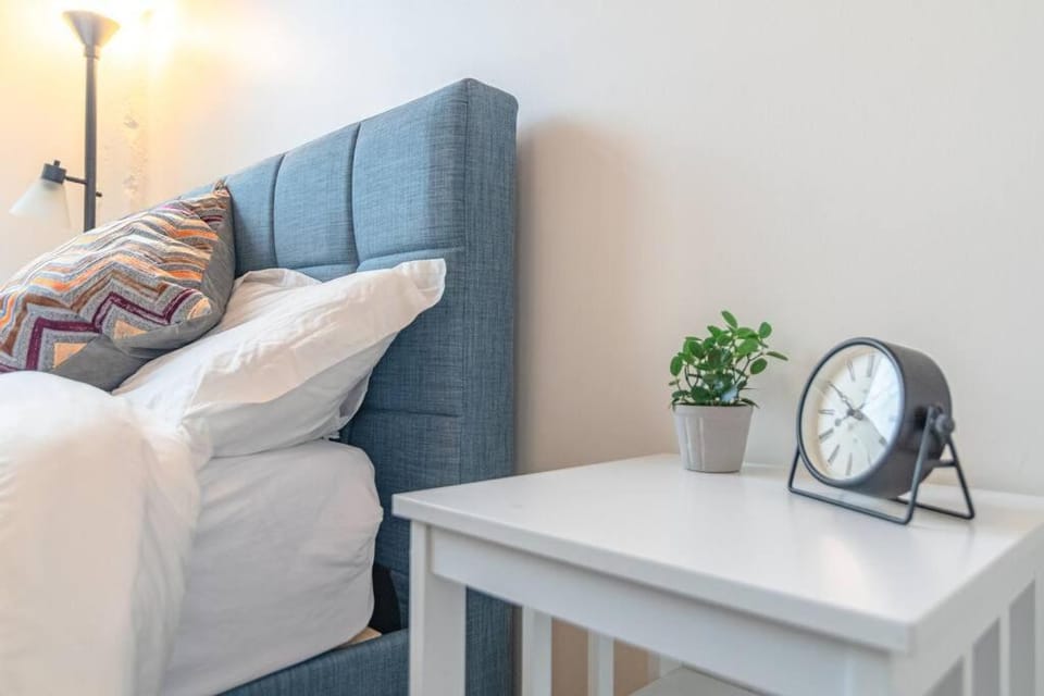 South Loop 3BR Apartment Near Lakefront Trail, Field Museum & Adler Planetarium Apartment in South Loop