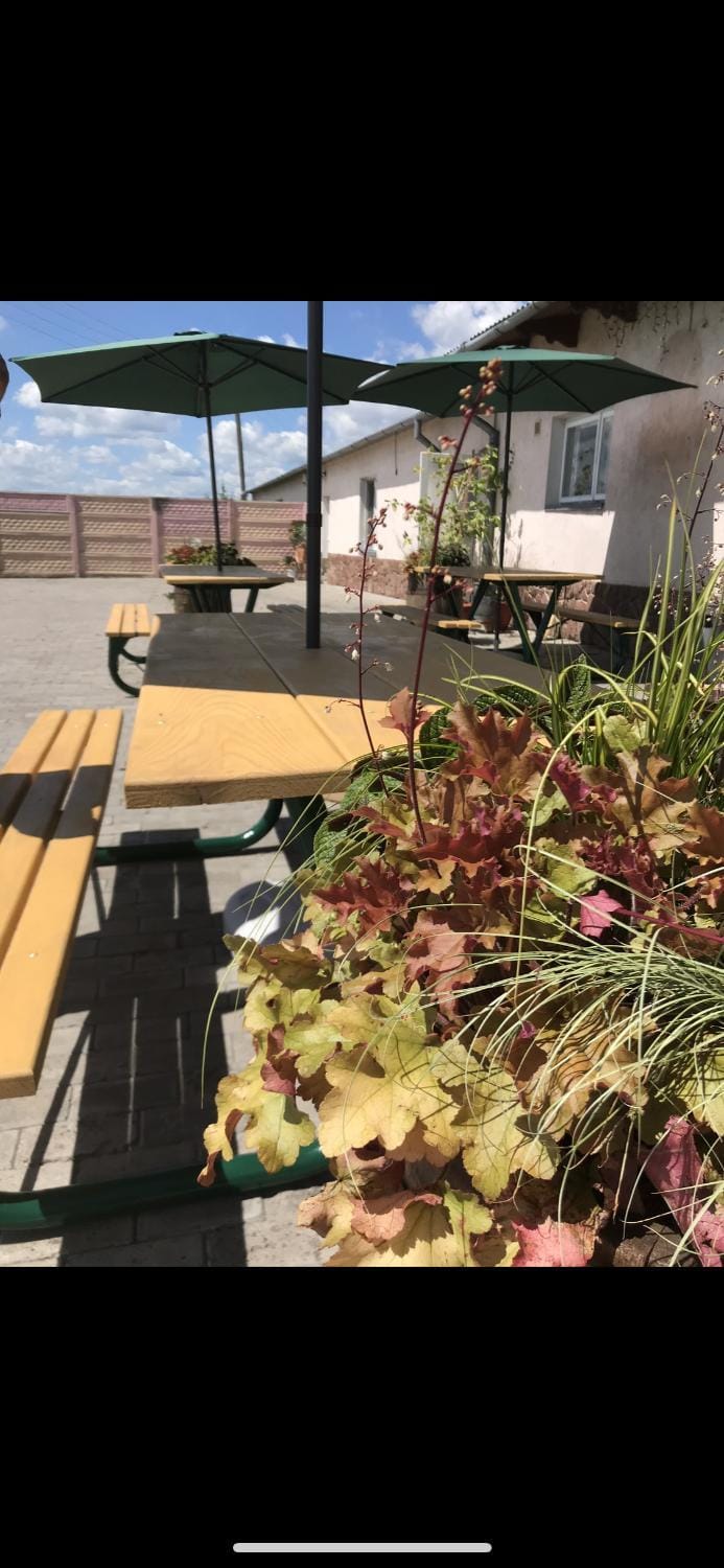Готель Клен Hotel in Lviv Oblast
