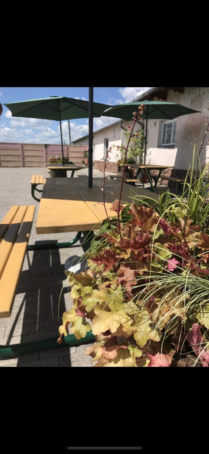 Готель Клен Hotel in Lviv Oblast