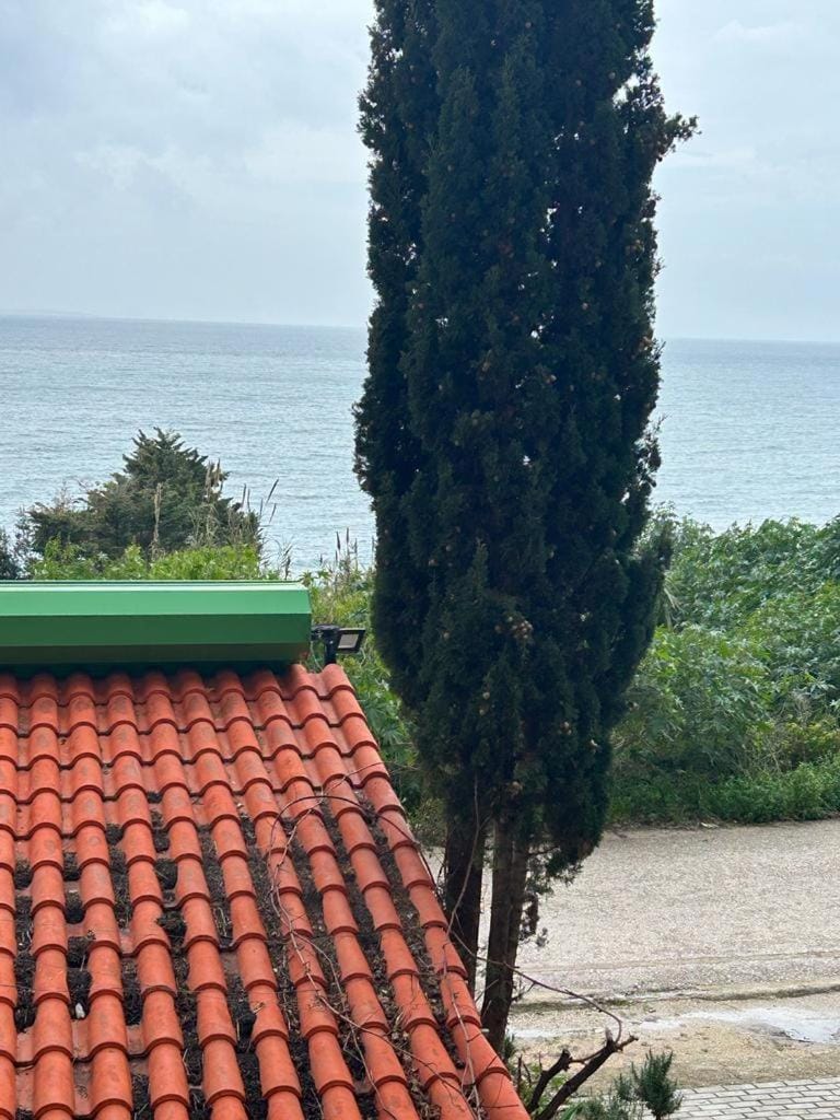 Blue pearl apartment Apartment in Sarandë