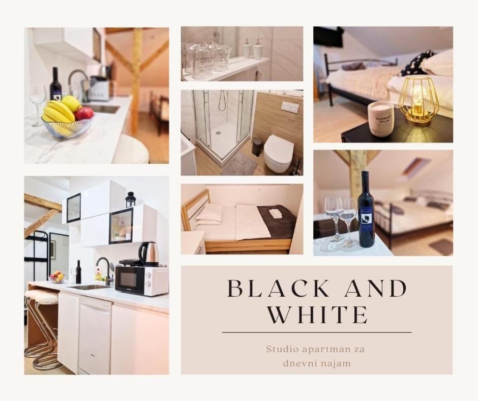 AIRPORT APARTMENS President and Black&White Self Check in Apartment in Slovenia