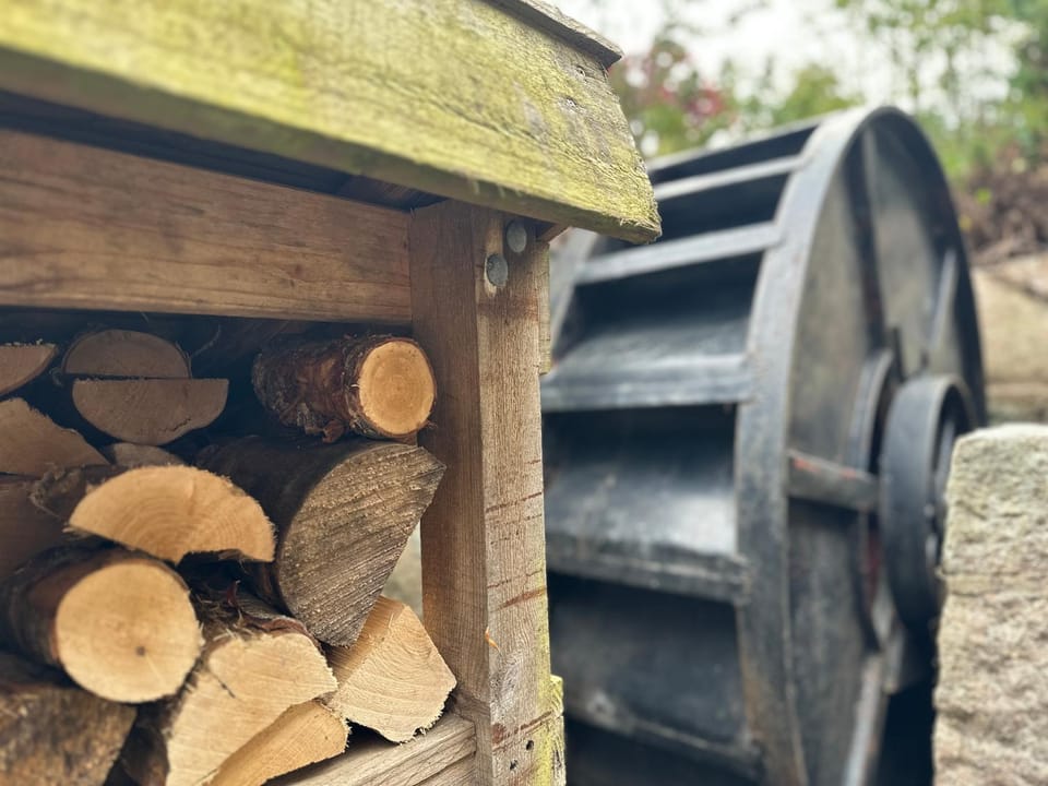 Property building, Day