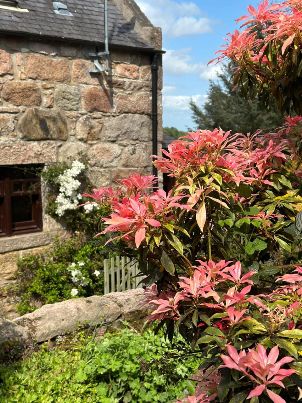 Spring, Day, Garden, Garden view