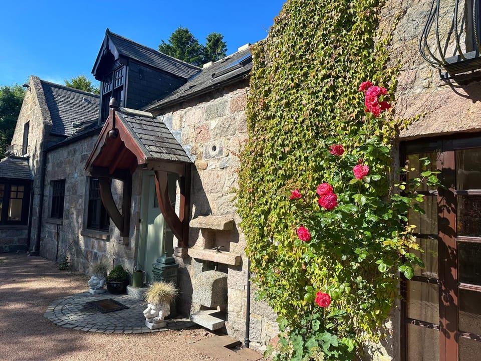 Property building, Spring, Day, Garden, Garden, Garden view