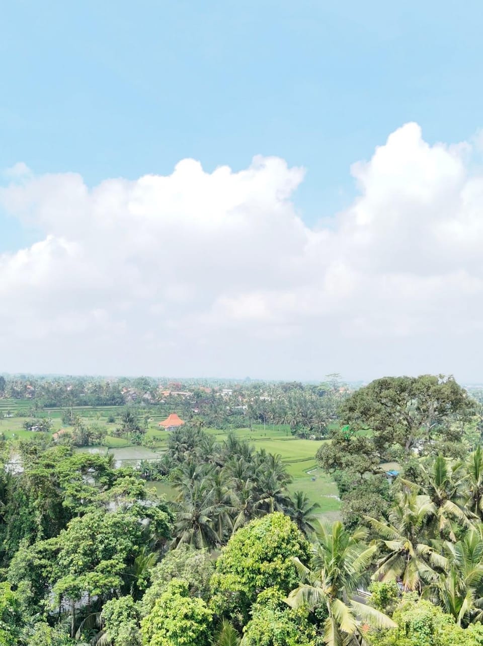 Jenar Ubud Villa Villa in Abiansemal