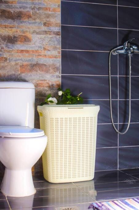 Toilet, Bathroom