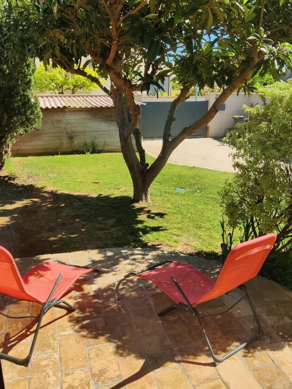 Garden, Garden view, sunbed
