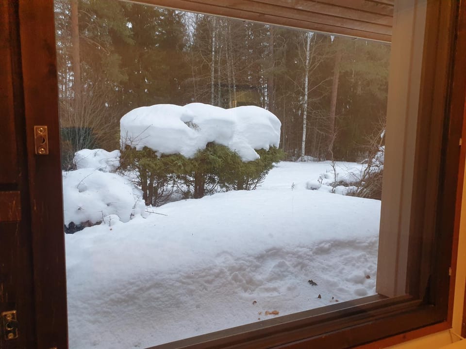Day, Natural landscape, Winter