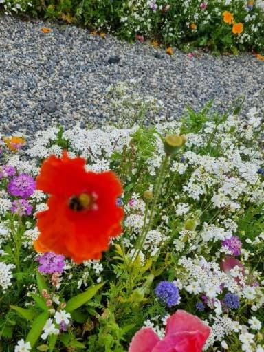 Easkey Glamping Village Campground/ 
RV Resort in County Sligo