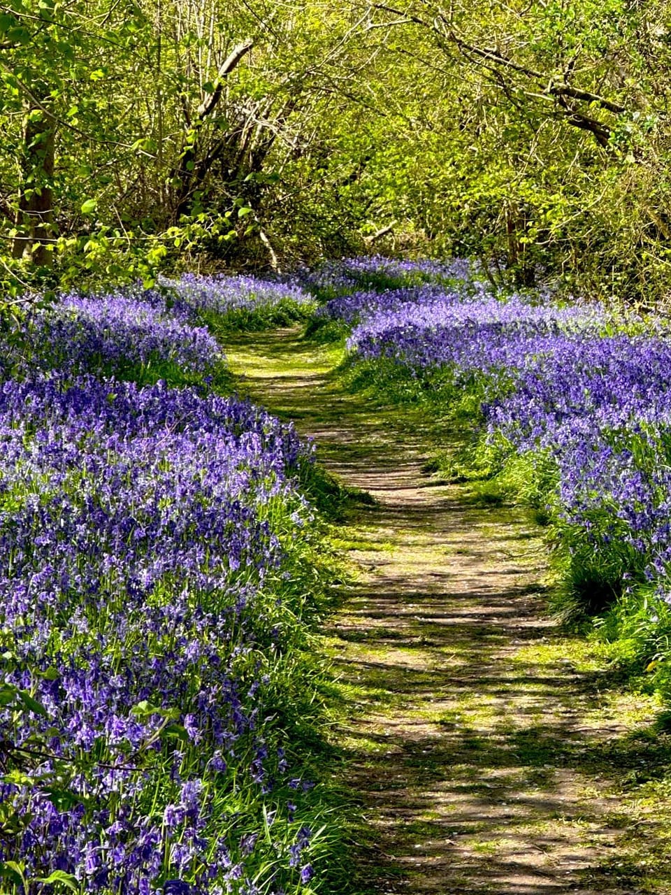 The Granary - Wood Farm Barn. Luxury Barn with wonderful countryside views House in Reepham