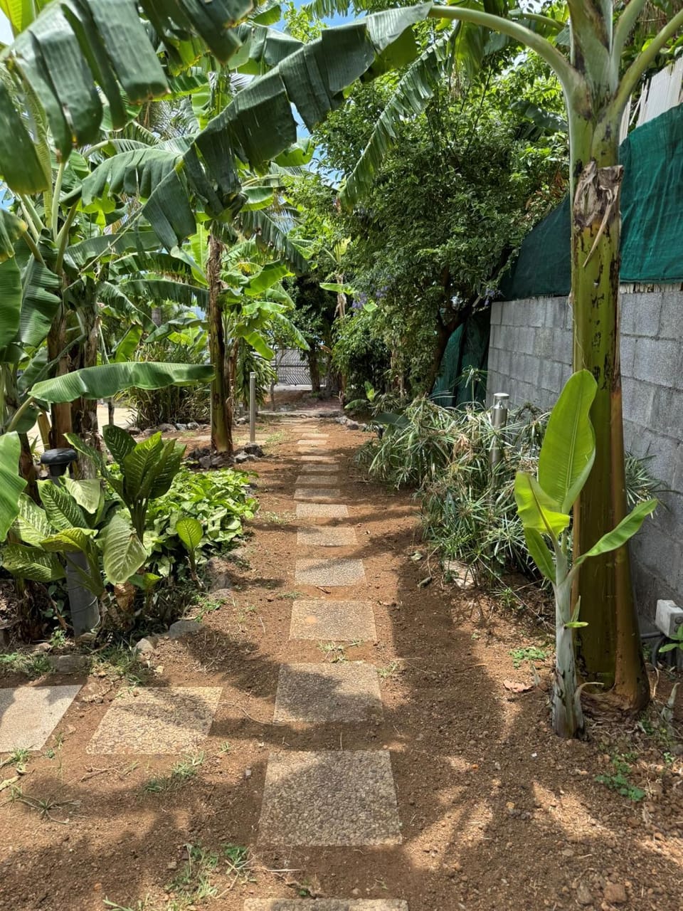 Natural landscape, Garden, Garden view